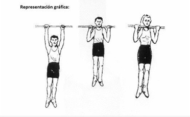 Força flexora de les extremitats superiors