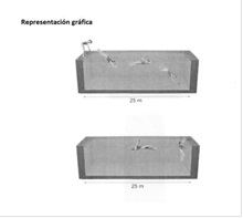 Prova de natació de 50m