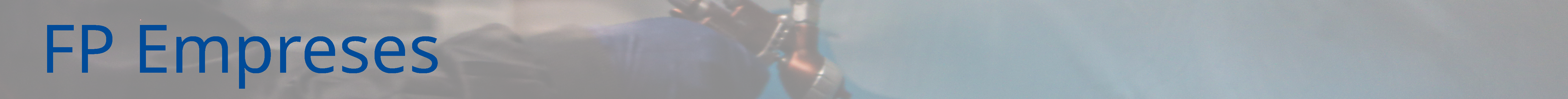 FP Empreses