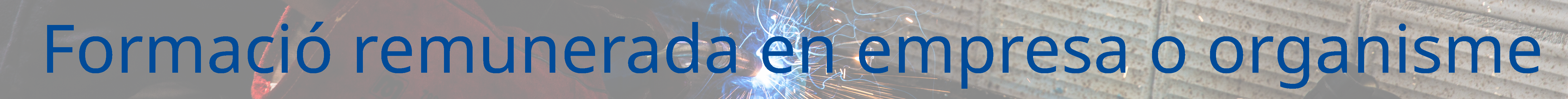 Formaci&oacute; en empresa o organisme remunerada