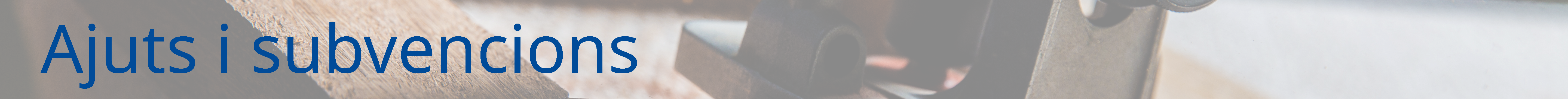 Ajuts i subvencions