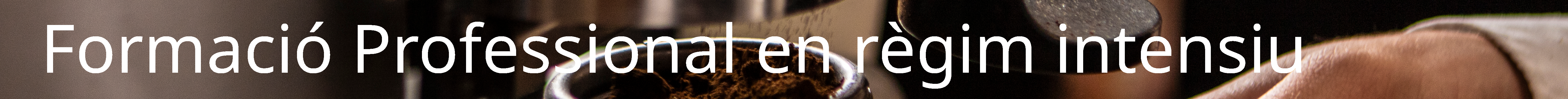 Formació Professional en règim intensiu