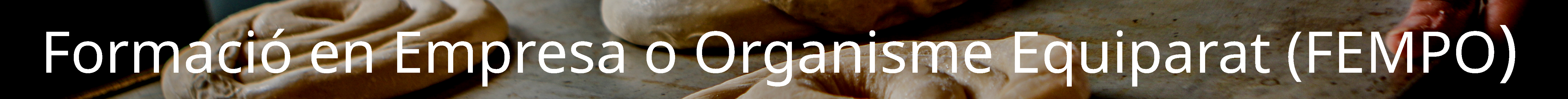 Formació en Empresa o Organisme Equiparat (FEMPO)