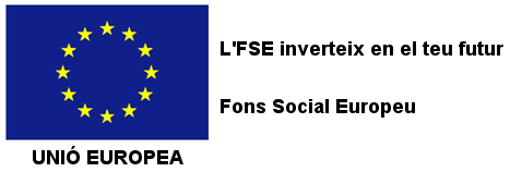 desc_Logo_FSE_FBP_ESO.png