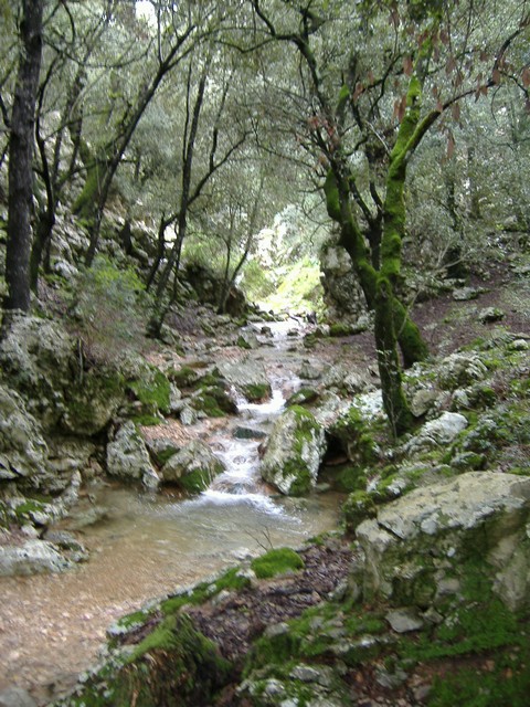 2.Voltants del refugi.JPG