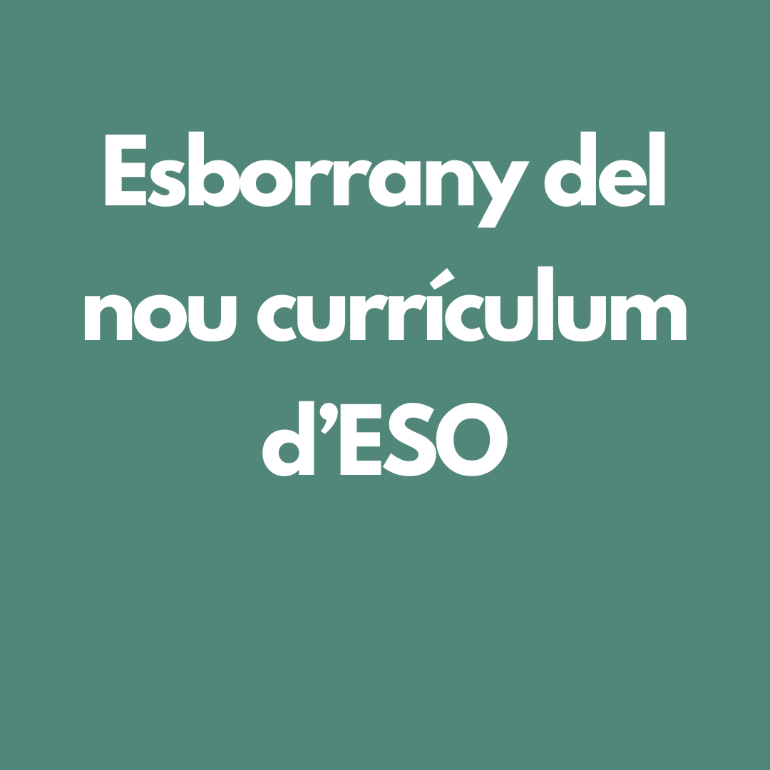 desc_canva_esborrany_eso3.png