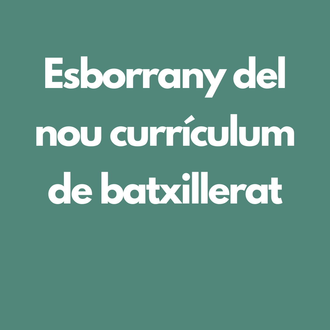 desc_canva_esborrany_batxillerat3.png