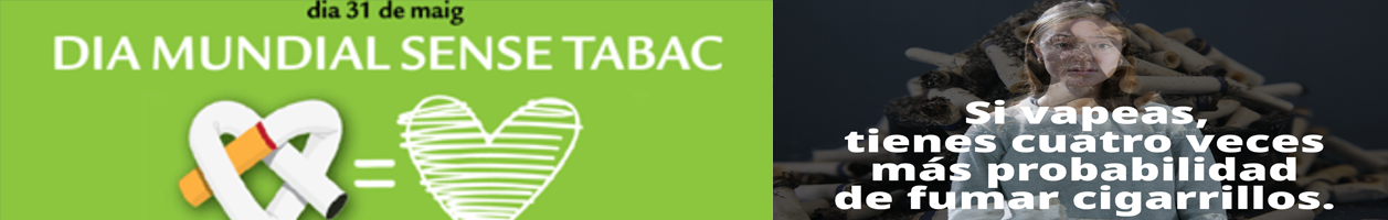 baner DMST 2026