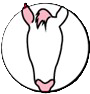 desc_LOGO_EQUI_FONDO_BLANCO.png