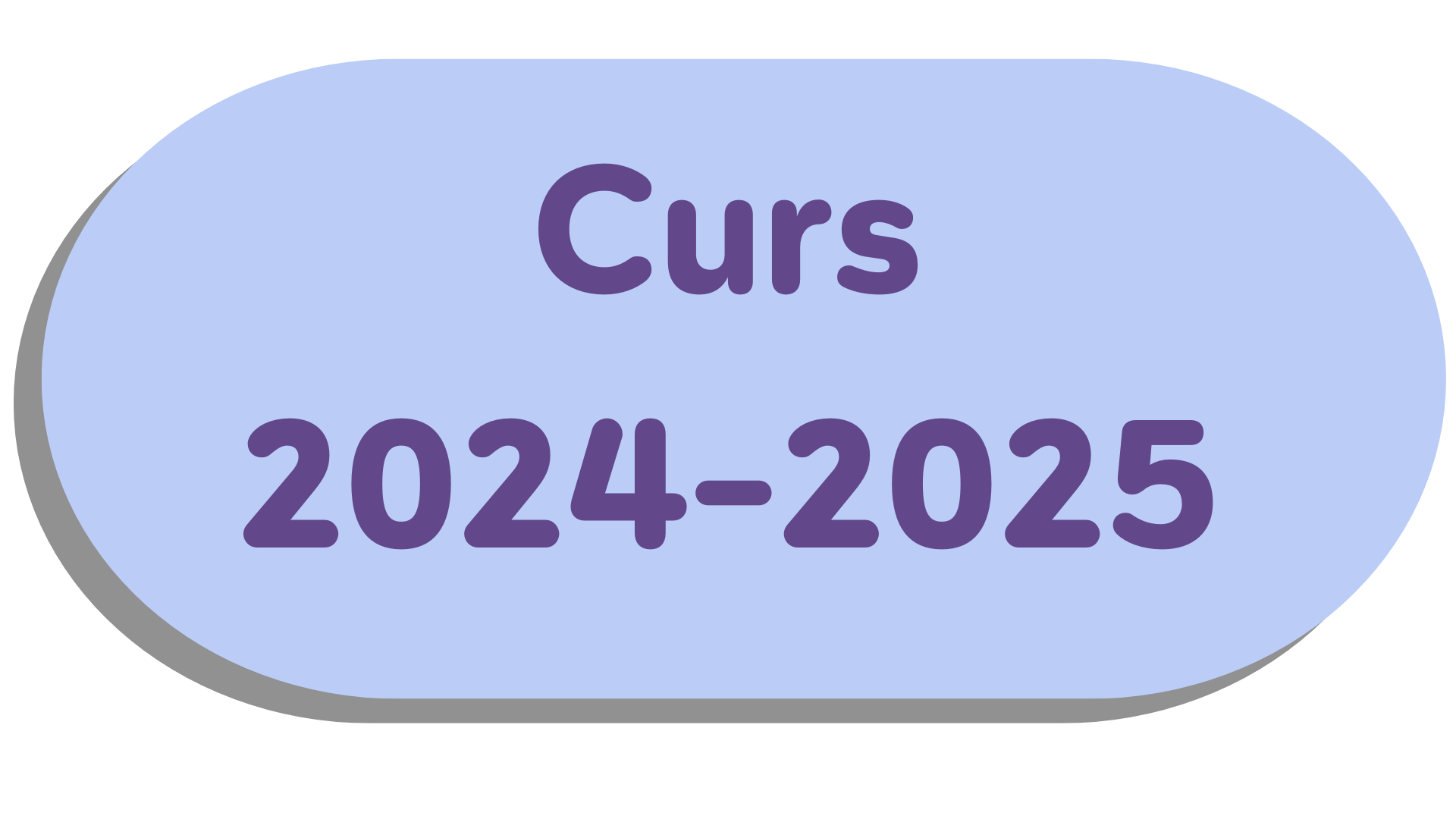 desc_Boto_Curs_2024-2025.png