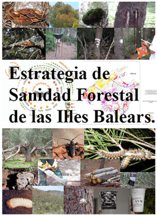 Portada del document de l'estratègia de Sanitat Forestal de les Illes Balears.