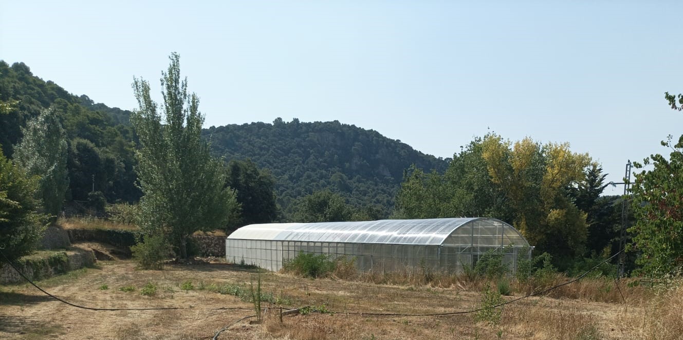 Invernadero2.jpeg
