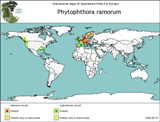 Mapa OEPP Phytophtora ramorum