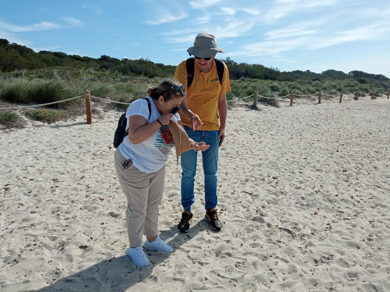  	archivopub.do?ctrl=MCRST7105ZI507206&id=507206